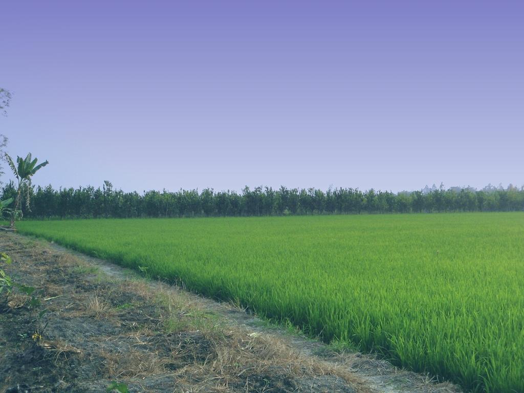 Green Village 1 Кантхо Экстерьер фото