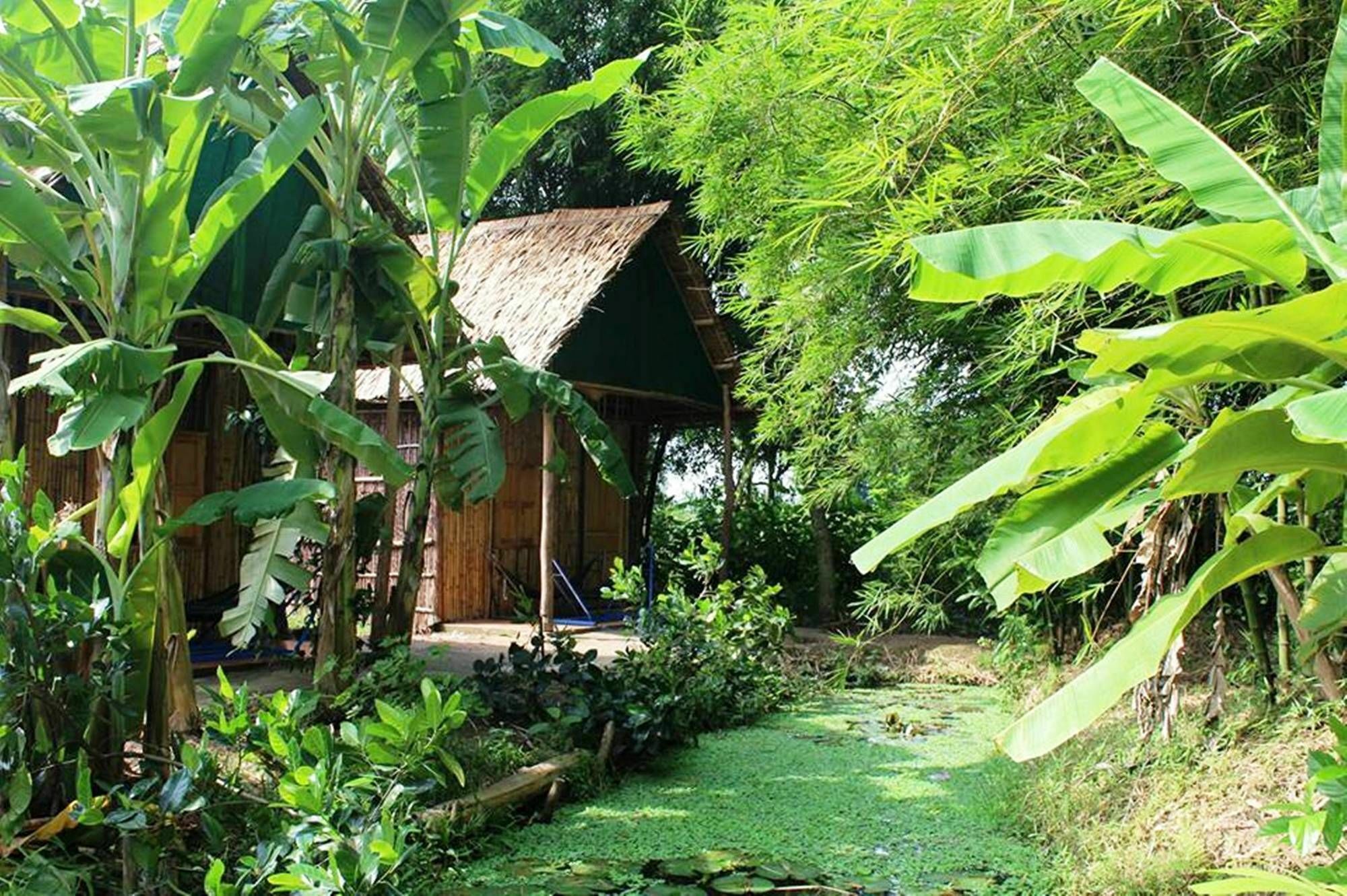 Green Village 1 Кантхо Экстерьер фото